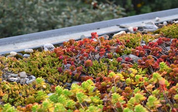 the cost of Earcroft green roof installation