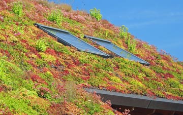 Earcroft living roof systems